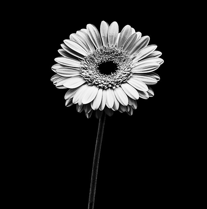 Floralia